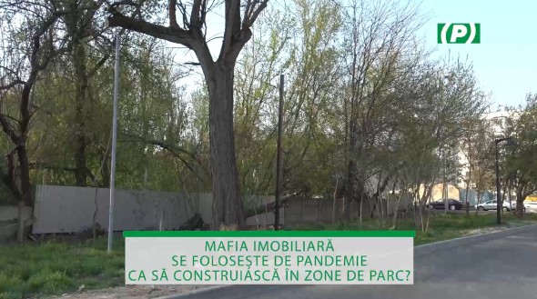 Defrișări masive și gard de protecție - Lucrări de construcție în Parcul „Valea Trandafirilor” din Chișinău