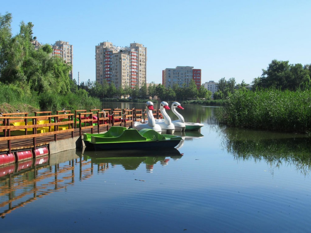 Defrişări pe timp de pandemie. Cum explică Ion Ceban îngrădirea unei zone din Parcul ,,Valea Trandafirilor"