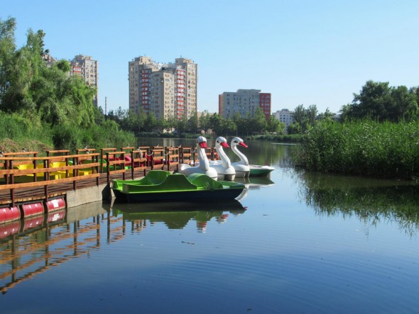 Defrişări pe timp de pandemie. Cum explică Ion Ceban îngrădirea unei zone din Parcul ,,Valea Trandafirilor"