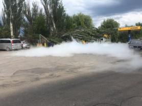 Pe șoseaua Balcani, vântul puternic a doborât un copac ce a căzut peste un rezervor cu gaz lichefiat