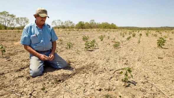 Federația Națională a Fermierilor din Moldova cere autorităților să declare situație de forță majoră în agricultură