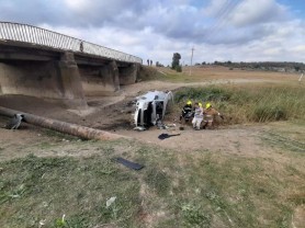 Detalii ȘOCANTE: Albinele sunt cauza accidentului fatal de la Ungheni