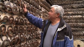 Colecționar din Moldova intrat în Cartea Recordurilor, ajutat de România să își deschidă propriul muzeu