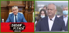 Deputat PRO Moldova despre lansarea lui Dodon în campania electorală: Neinspirată, tristă și mincinoasă