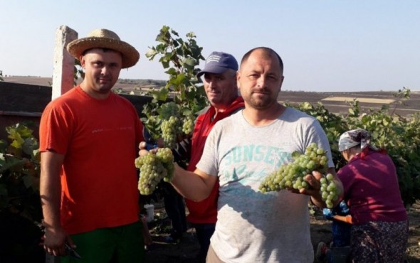 Agricultor: Am lăsat totul, muncesc pe șantier în Germania să plătesc datoriile în agricultură
