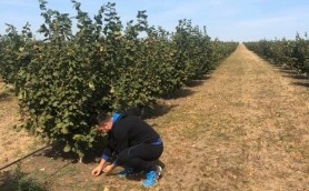 Fermier: Statul trebuie să înțeleagă, noi nu doar producem mâncare, noi întreținem mai multe ramuri
