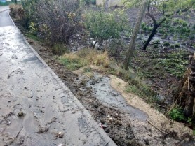 Localnic din Bilicenii Vechi: Asta e bătaie de joc. Au construit trotuarul, l-au făcut mai înalt decât drumul și acum toată apa vine la vecin