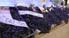 Moldova în TOP 3 Exportatori Mondiali de struguri de masă după volumul exportat per cap de locuitor