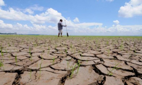 Guvernul a ajuns să fie dator cu 1,8 miliarde de lei față de agricultori