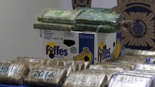 Tone de droguri, ascunse printre banane, cu destinația Belgia