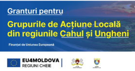 Granturi în valoare de 200.000 EURO sunt acordate Grupurilor de Acţiune Locală din regiunile Cahul şi Ungheni, cu asistenţa financiară a UE