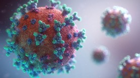 Om de ştiinţă: Noul coronavirus va exista pentru „totdeauna" deoarece este puţin probabil să fie eradicat