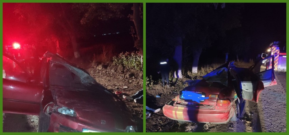 Accident grav la Criuleni. O lovitură într-un copac, fatală pentru un bărbat