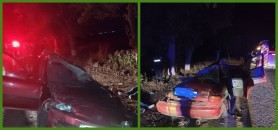 Accident grav la Criuleni. O lovitură într-un copac, fatală pentru un bărbat