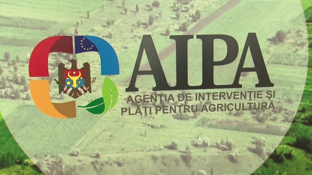 Pentru ce măsuri AIPA n-a recepționat nici un dosar