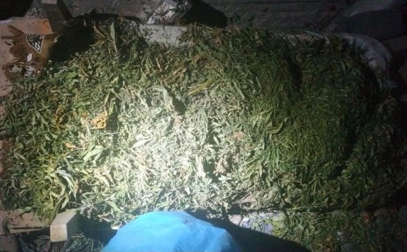 Percheziții la Cahul: aproximativ 12 kg de substanțe narcotice depistate într-o gospodărie