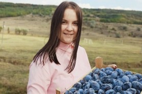 Doina Grati: Avem 40 de tone de prune pentru care nu putem găsi cumpărători