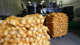 Piața locală este dominată de cartofii de import