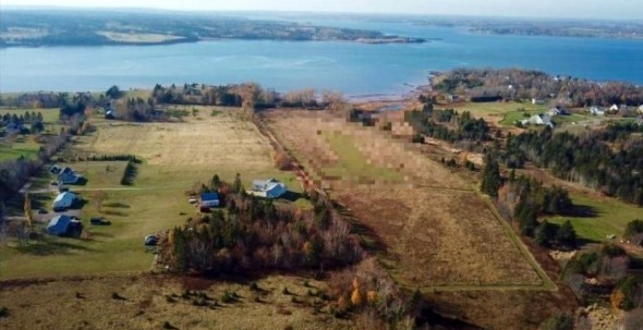 FOTO // Mulți dintre cei care se uită pe Google Maps la acest teren agricol se rușinează