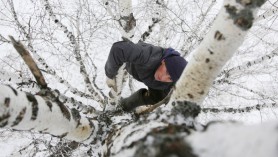 Un tânăr din Rusia urcă într-un copac de 8 metri înălțime pentru a participa la cursurile ONLINE. Iată motivul