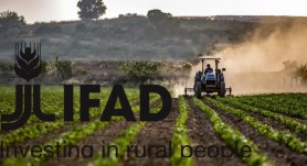 Noul acord de finanțare cu Fondul Internațional pentru Dezvoltarea Agricolă a fost RATIFICAT în Parlament