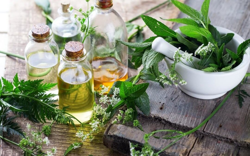 Fitoterapie: trei plante pentru stimularea sistemului imunitar