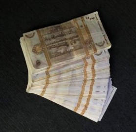 I-a oferit 50 000 de lei unui angajat ANSA ca să falsifice raportul final al procesului de vaccinare a vulpilor. Omul de afaceri reținut de CNA