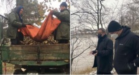 FOCUS // Un fost consilier municipal îl îndeamnă pe Ceban să întrebe filandezii dacă „adună gunoiul cu ȚOALA”