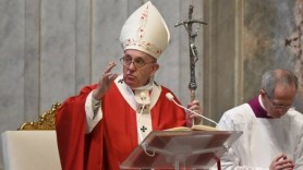 Papa Francisc: Nu există pandemie şi nici criză care să poată stinge lumina Crăciunului