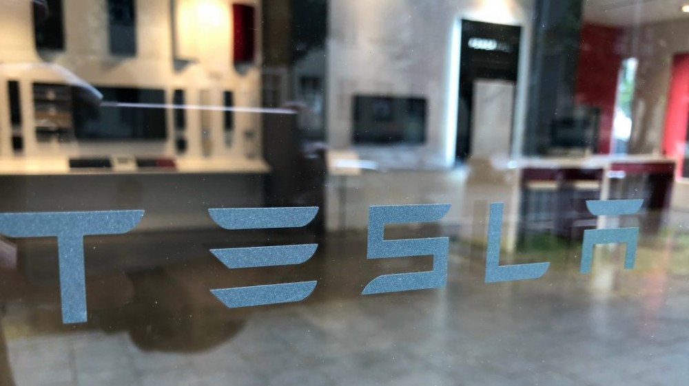 Șerpii îi strică planurile lui Elon Musk. Lucrările de extindere a companiei TESLA în Europa au fost suspendate