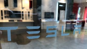 Șerpii îi strică planurile lui Elon Musk. Lucrările de extindere a companiei TESLA în Europa au fost suspendate