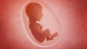 Bebelușii „cyborg”. Particule de microplastic suficient de mici pentru a intra în sânge au fost descoperite în placenta unor feți