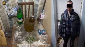 Un bărbat din Chișinău creștea marijuană în casă. Cum poliția l-a depistat