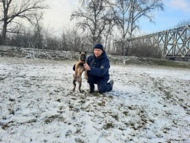 Vești PROASTE pentru contrabandiștii cu țigări. Poliția de Frontieră a suplinit efectivul cu nouă câini de rasă