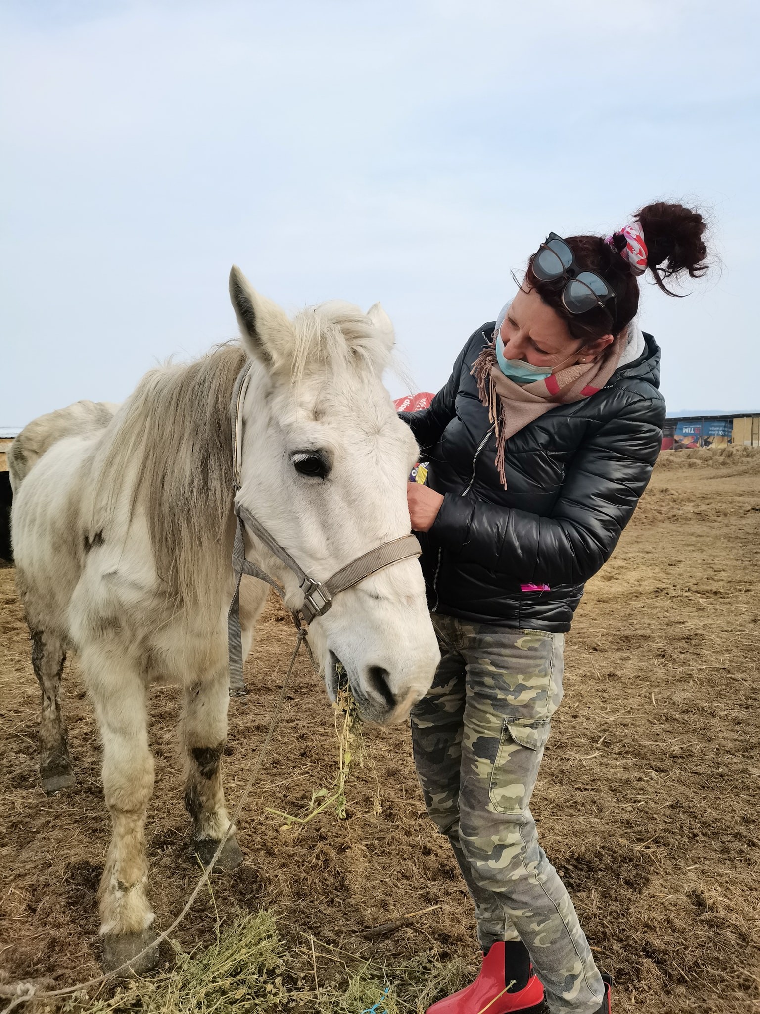 A muncit ani buni peste hotare iar cu banii câștigați a deschis un adăpost pentru animale