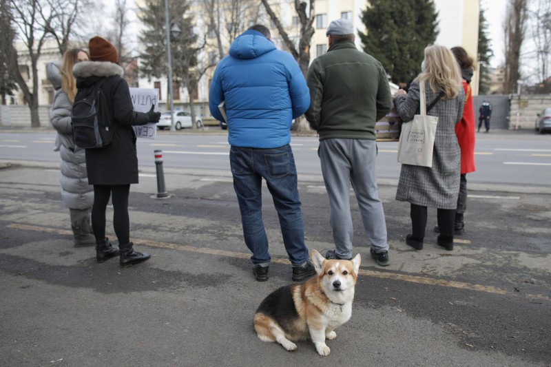 FOTO // Protest pentru eliberarea lui Navalnîi în fața Ambasadei Rusiei de la București