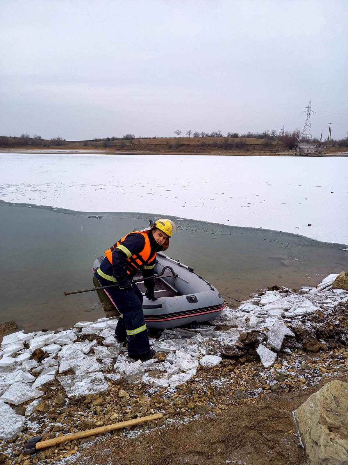 FOTO // O lebădă a fost salvată după ce a rămas blocată pe gheața de pe râul Prut