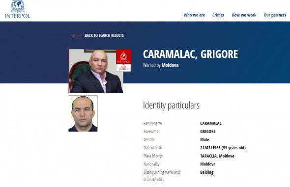Răsturnare de situaţie în dosarul Caramalac. Interlopul nu a fost reţinut, ci doar localizat la Moscova