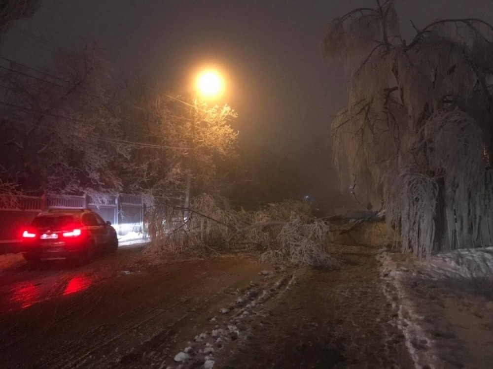 FOTO // Copaci doborâți, fire de electricitate rupte și rețeaua de transport public afectată. Dezastrul provocat de condițiile meteo