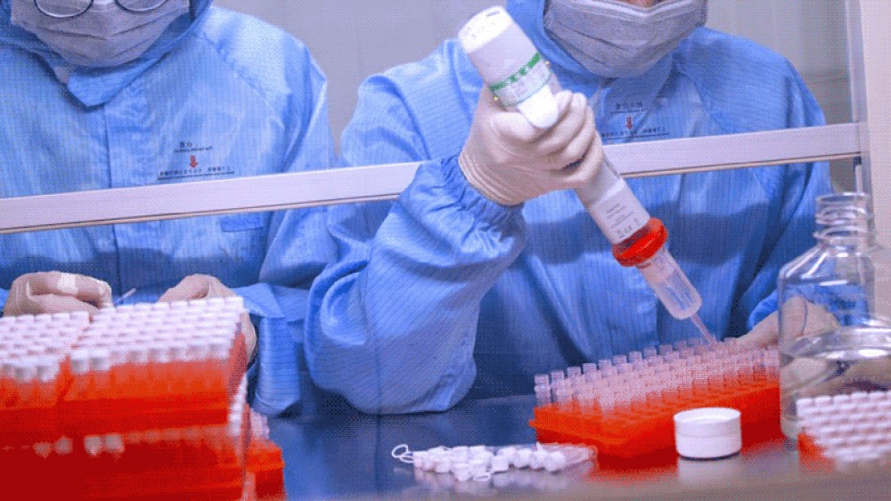 Virusul care îi face pe oameni proști. Concluzia cercetătorilor