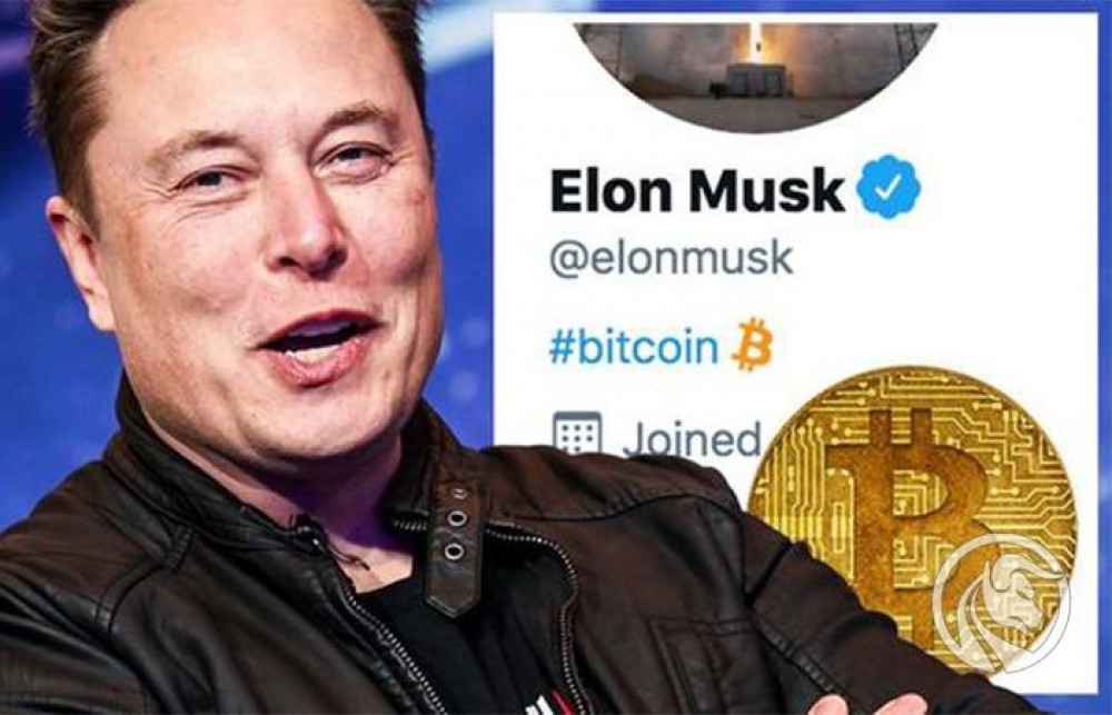„Preţurile bitcoin şi ethereum sunt ridicate”. Declarațiile lui Elon Musk