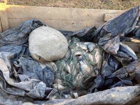 Prinși în zona de frontieră cu căruța plină cu pește. Ce pedeapsă riscă cei doi pescari