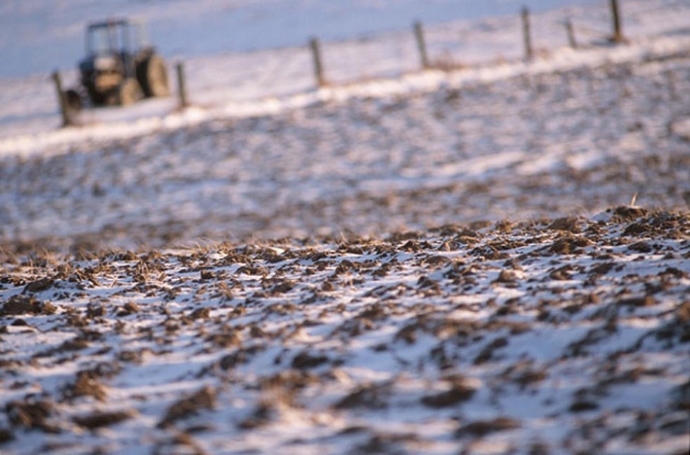 Calendarul fermierului în martie: Principalele lucrări agricole odată cu sosirea primăverii