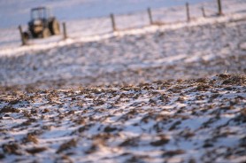 Calendarul fermierului în martie: Principalele lucrări agricole odată cu sosirea primăverii