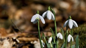 Sfârșit de săptămână cu vreme relativ caldă. Ce pronosticuri fac meteorologii pentru sâmbătă și duminică