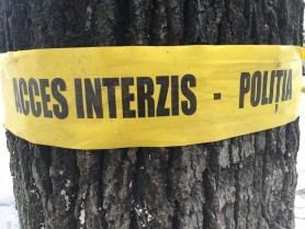 Descoperire MACABRĂ. Trupul neînsuflețit al unei adolescente din raionul Fălești găsit într-o fâșie forestieră