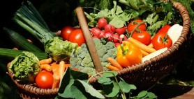 Ce legume se plantează în aprilie. Trucuri și sfaturi prețioase