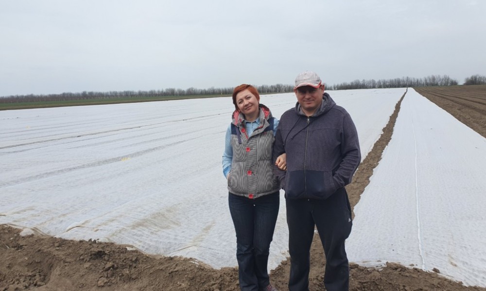 Muncă, credite de milioane și multă dragoste investite în agricultură. Povestea unei familii de legumicultori din Anenii Noi