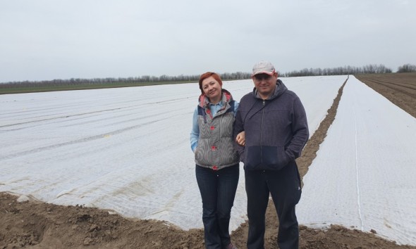 Muncă, credite de milioane și multă dragoste investite în agricultură. Povestea unei familii de legumicultori din Anenii Noi
