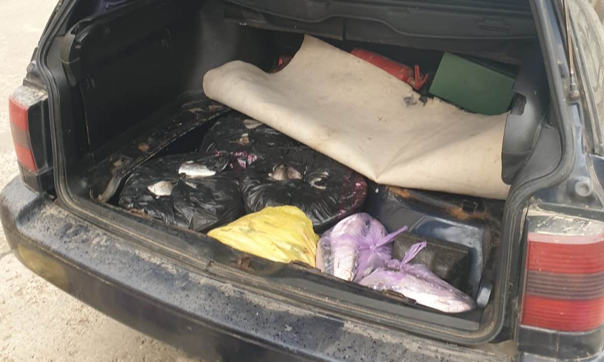 FOTO // Un moldovean a fost prins în România cu 53 de kilograme de peşte fără a deţine documente legale